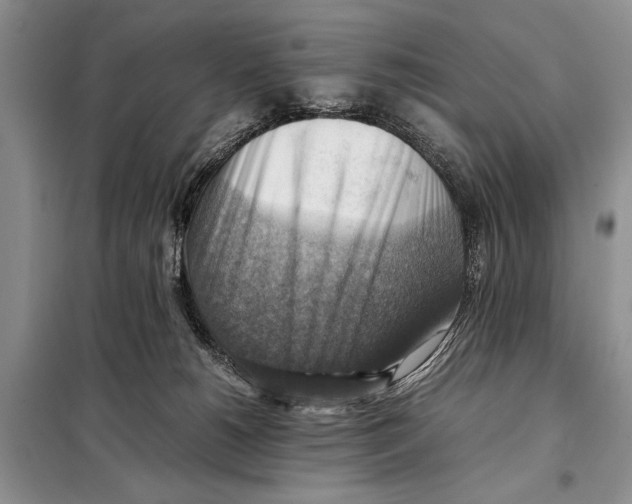 X0000097880180200804111001