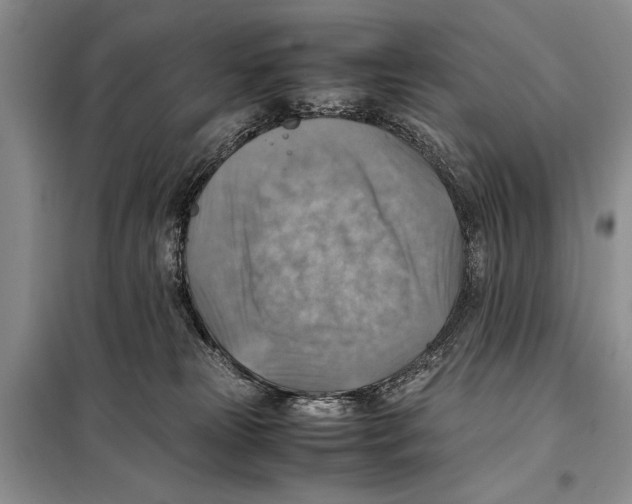 X0000097880181200804111001