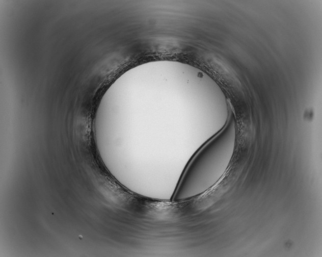 X0000097880184200804111001