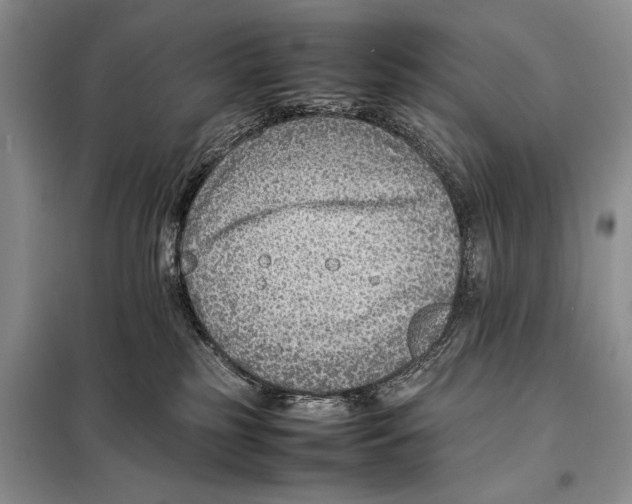 X0000097880185200804111001