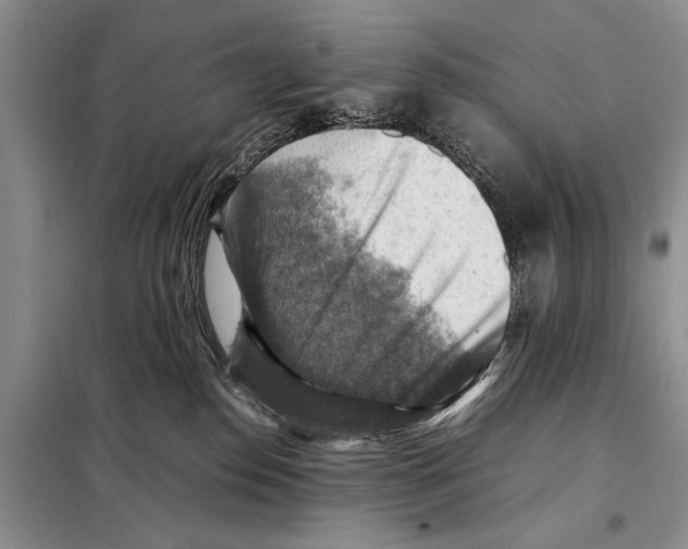 X0000097880186200804111001