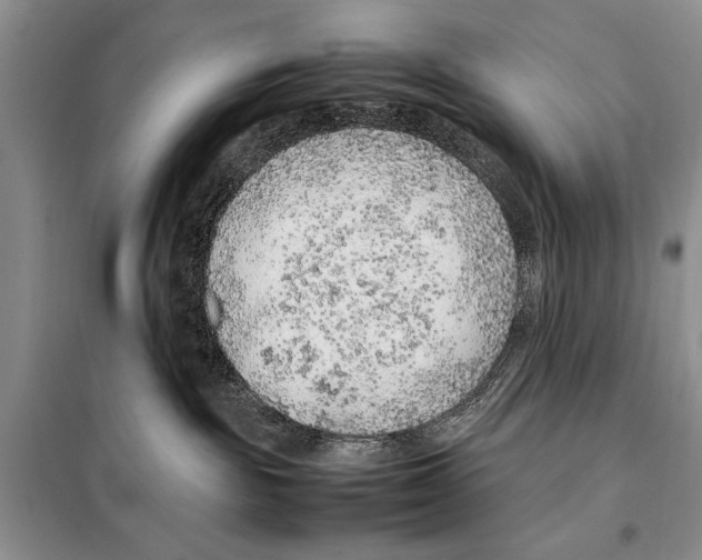 X0000097880189200804111001