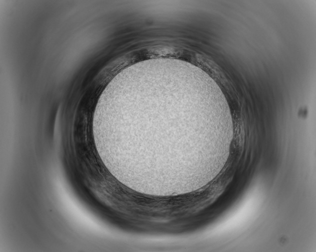 X0000097880191200804111001