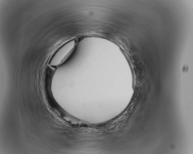 X0000097880193200804111000