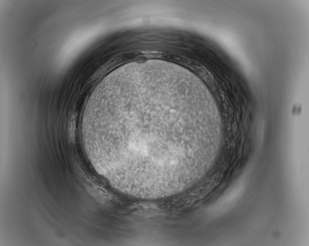 X0000097880194200804111000