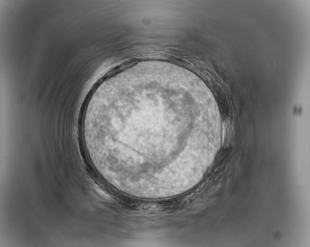 X0000097880195200804111000