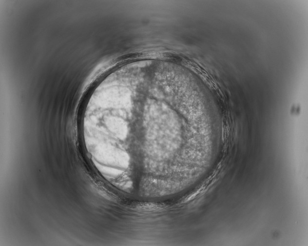 X0000097880198200804111000