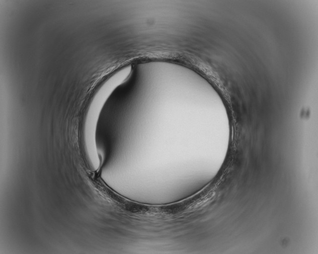 X0000097880201200804111000