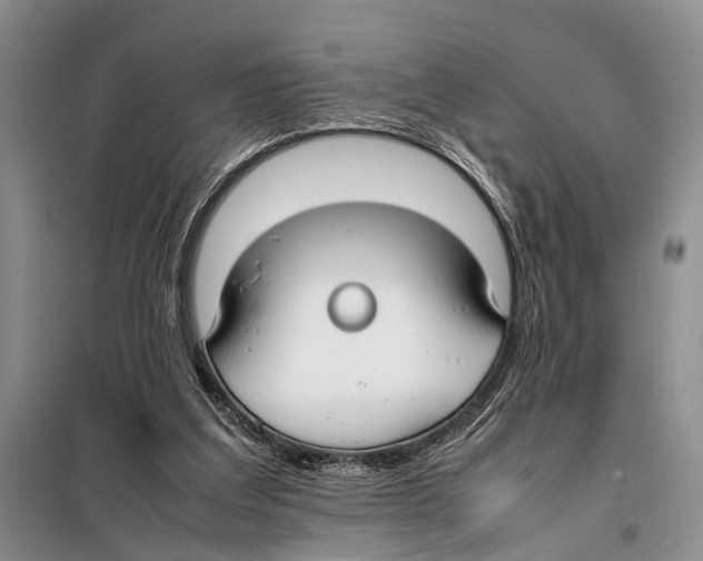 X0000097880203200804111000