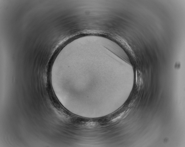 X0000097880204200804111000