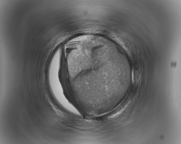 X0000097880205200804111000