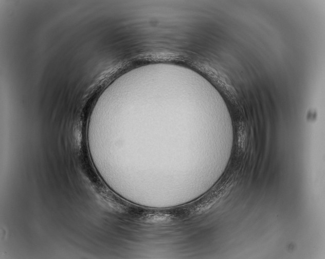 X0000097880206200804111000