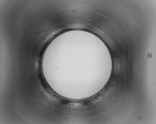 X0000097880208200804111000