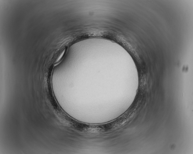 X0000097880209200804111000