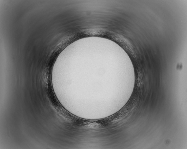 X0000097880210200804111000