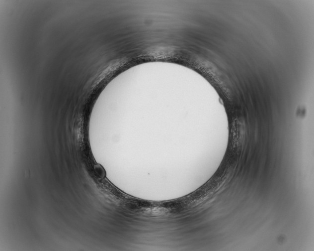 X0000097880212200804111000