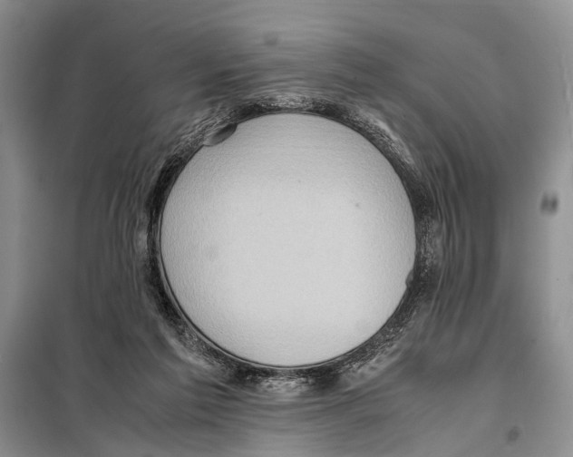 X0000097880213200804111000