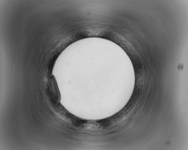 X0000097880215200804111000