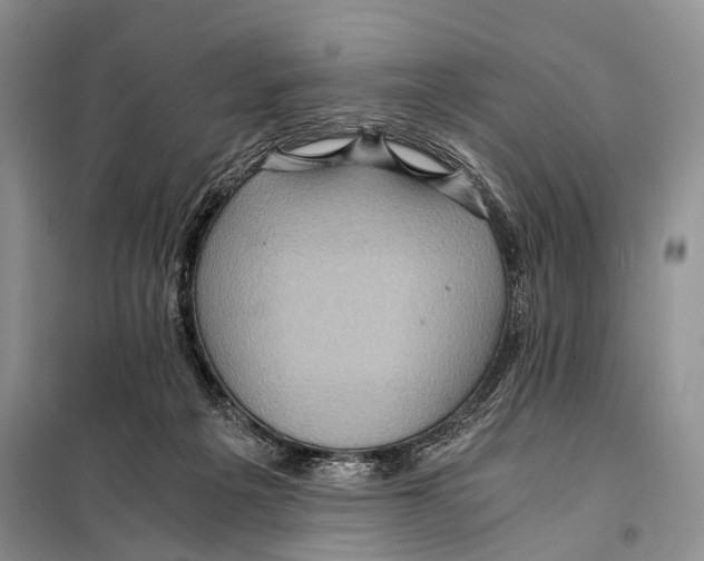 X0000097880217200804111000