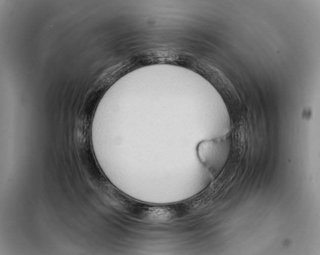 X0000097880218200804111000