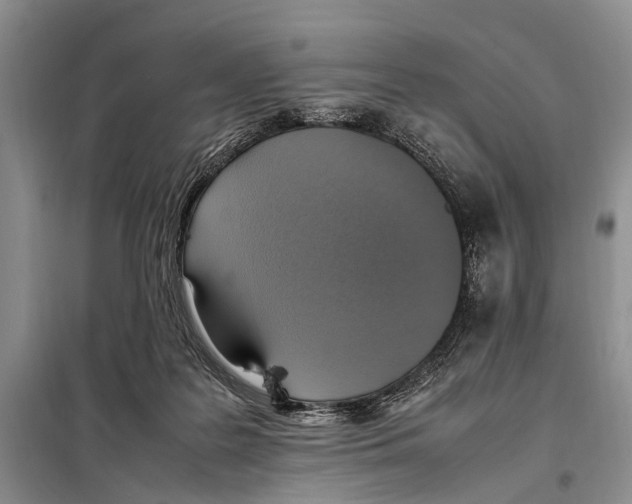 X0000097880219200804111000