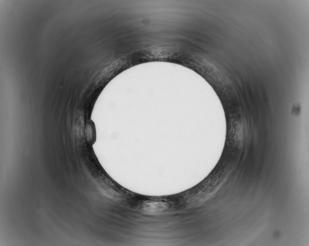 X0000097880220200804111000