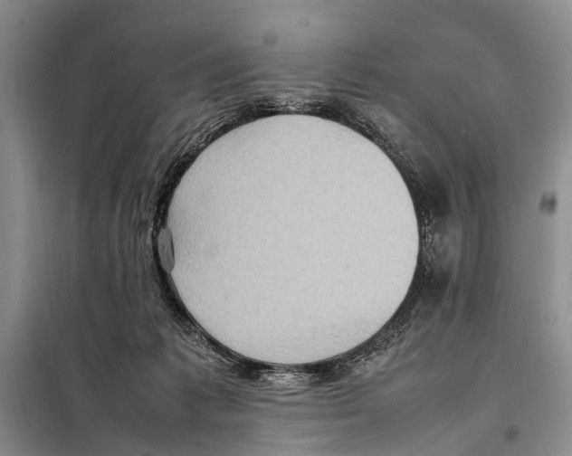 X0000097880221200804111000