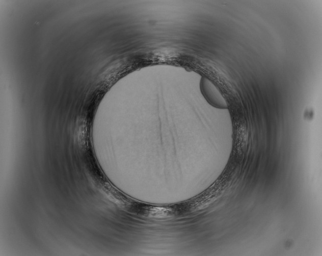 X0000097880222200804111000