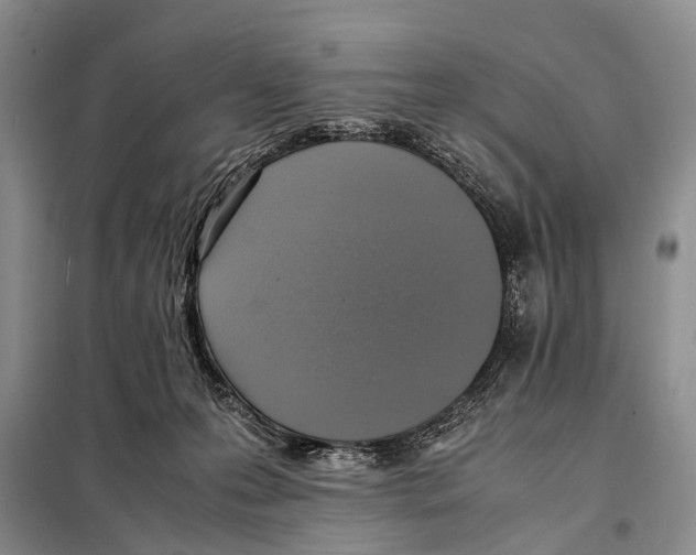 X0000097880223200804111000