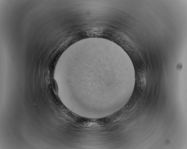 X0000097880224200804111000