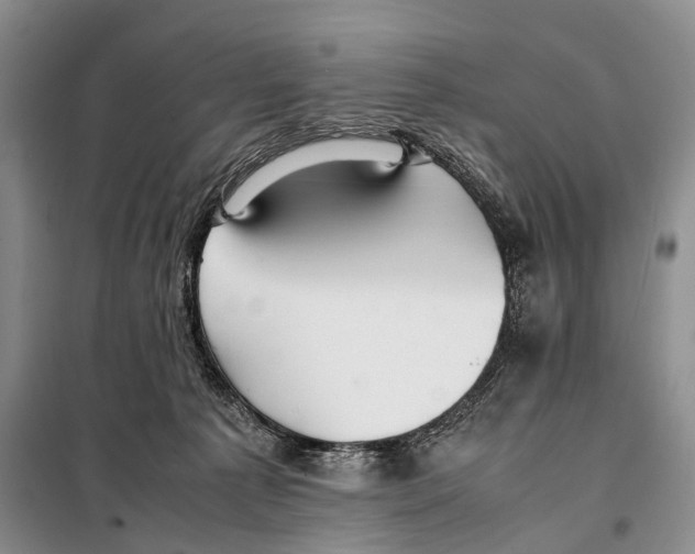 X0000097880225200804110959