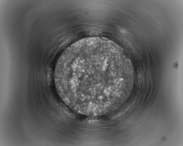 X0000097880228200804110959