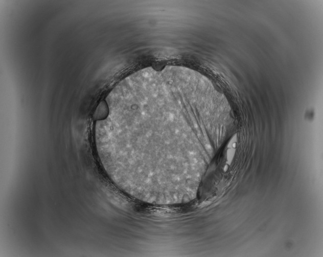 X0000097880229200804110959