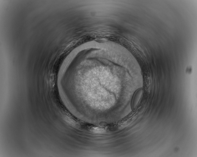 X0000097880232200804110959