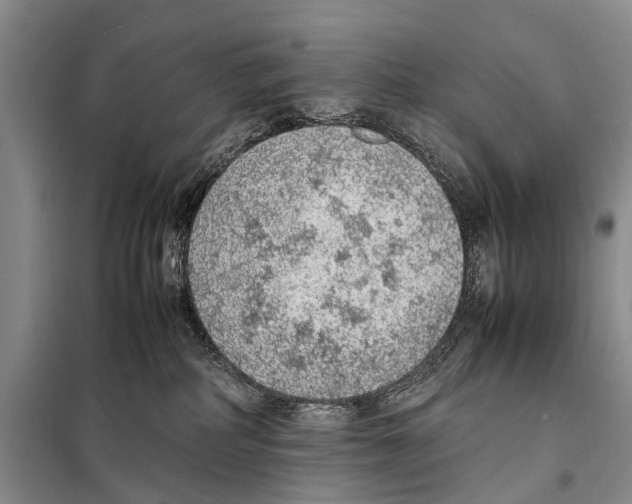 X0000097880234200804110959