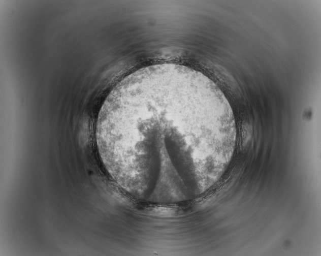 X0000097880236200804110959