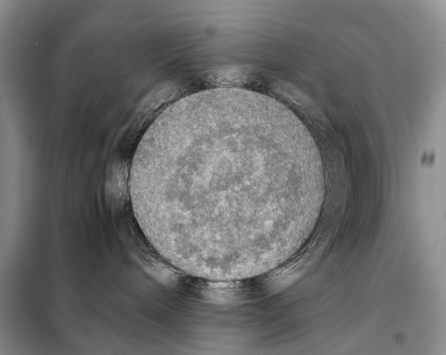 X0000097880240200804110959