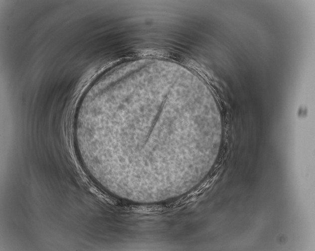 X0000097880241200804110958