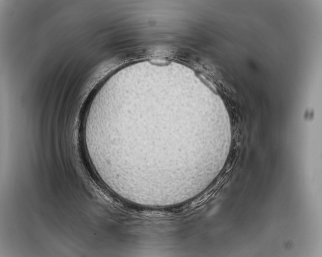 X0000097880242200804110958