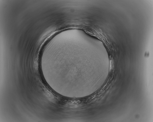 X0000097880243200804110958