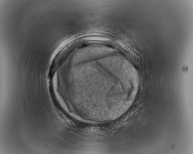 X0000097880244200804110958