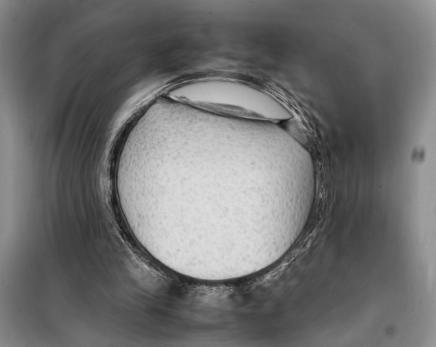 X0000097880245200804110958