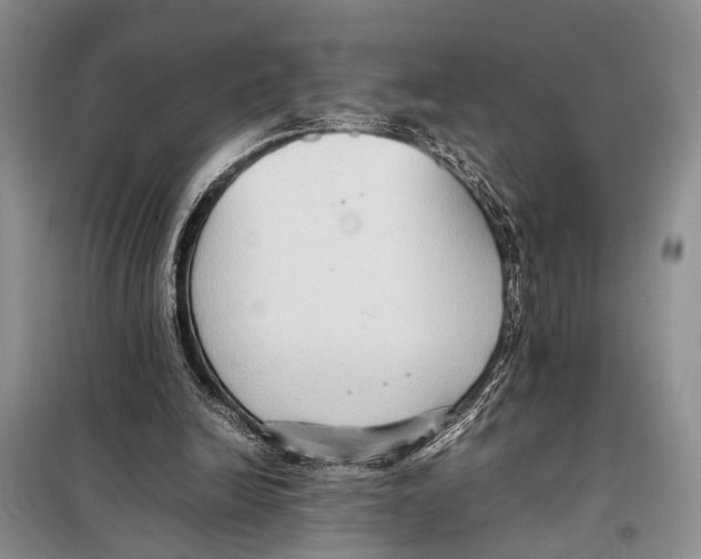 X0000097880246200804110959