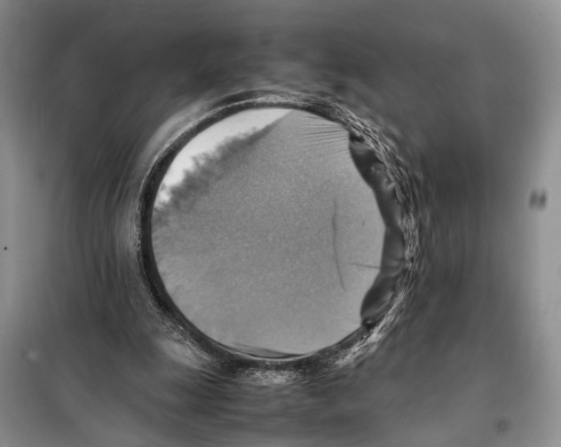 X0000097880247200804110959