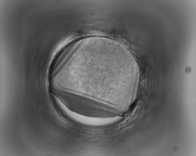 X0000097880248200804110959