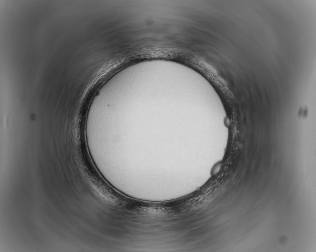 X0000097880250200804110959