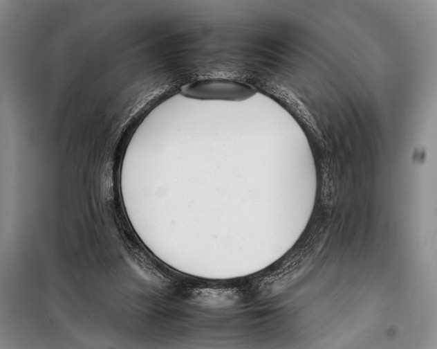 X0000097880251200804110959