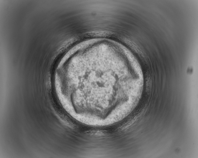 X0000097880254200804110959