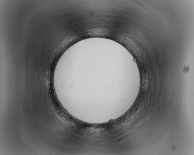 X0000097880255200804110959