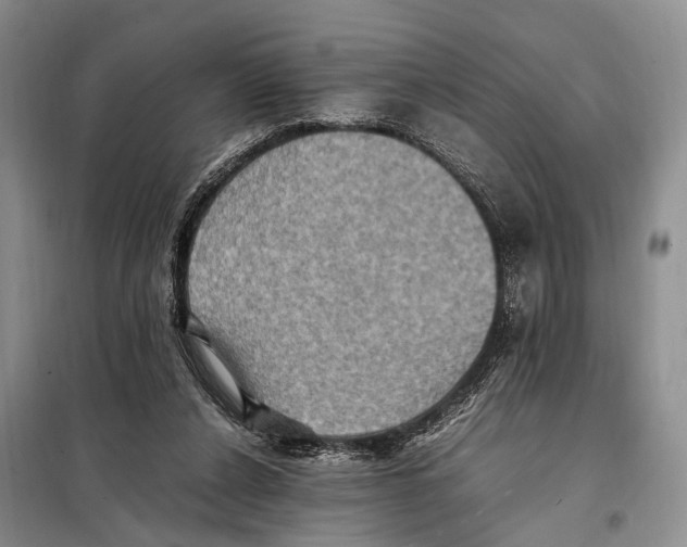 X0000097880256200804110959